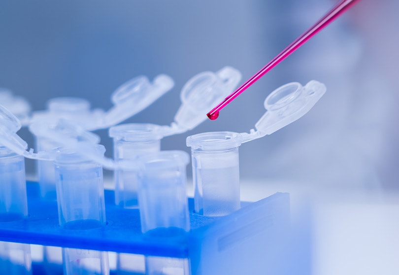 Seelye Acquisitions, Inc. Thermopastic Welding Equipment & Fabrication